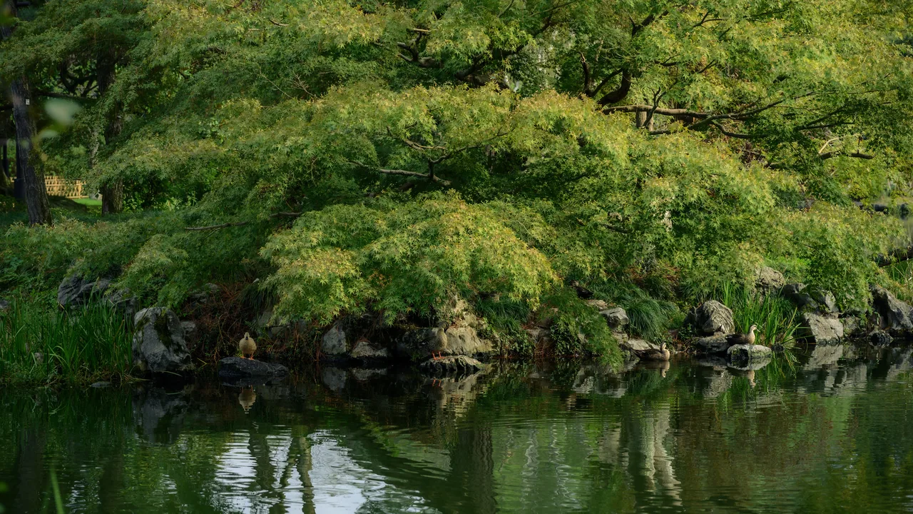 中国行旅 · 杭州 · 西湖