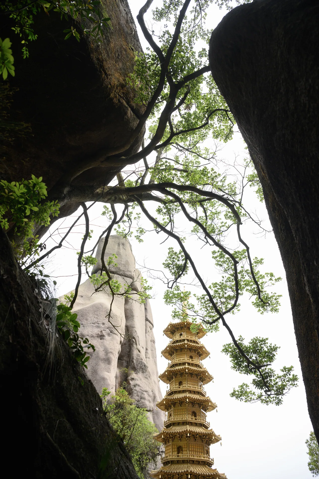 太姥山 · 嵛山岛 · 太姥山