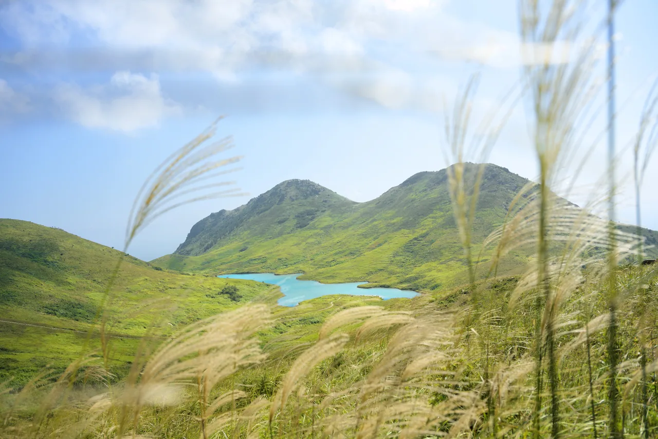 嵛山岛