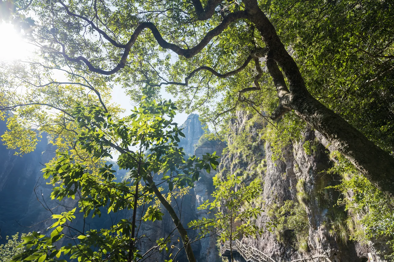 雁荡 · 百丈漈 · 雁荡山