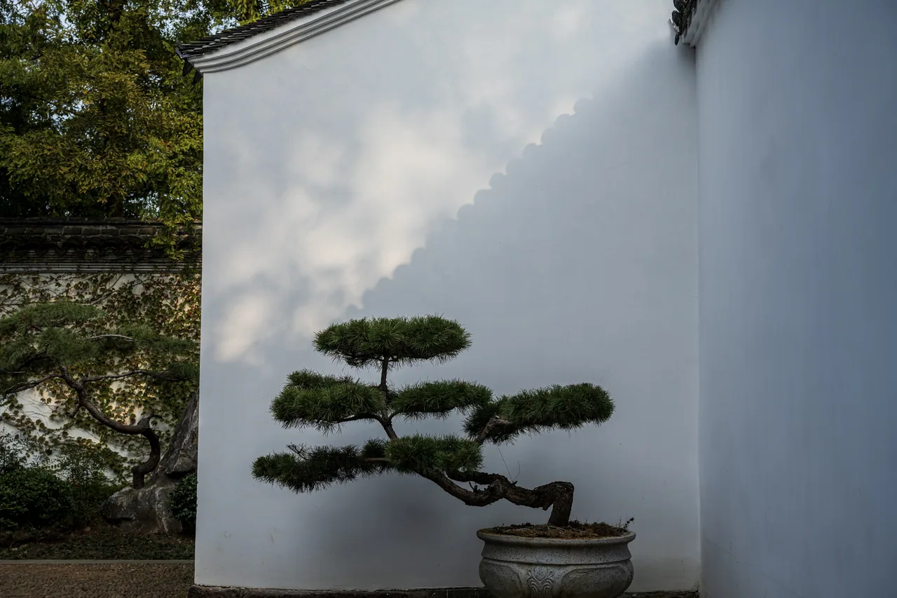 三清山 · 赣东北