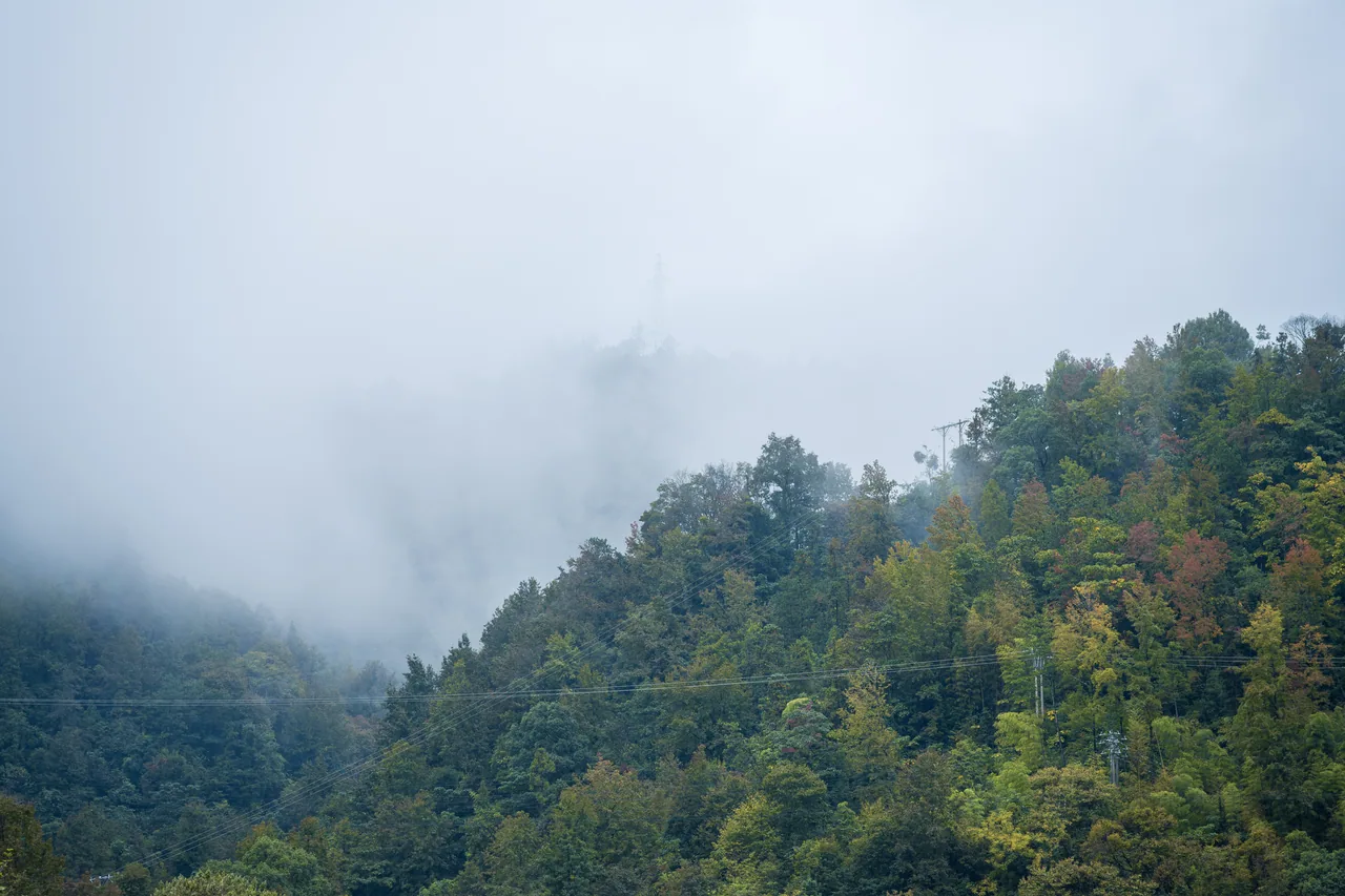 红枫古道