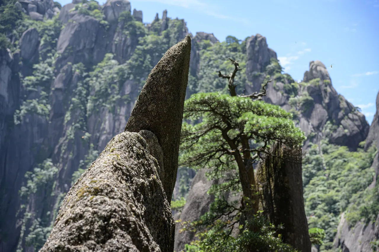 黄山