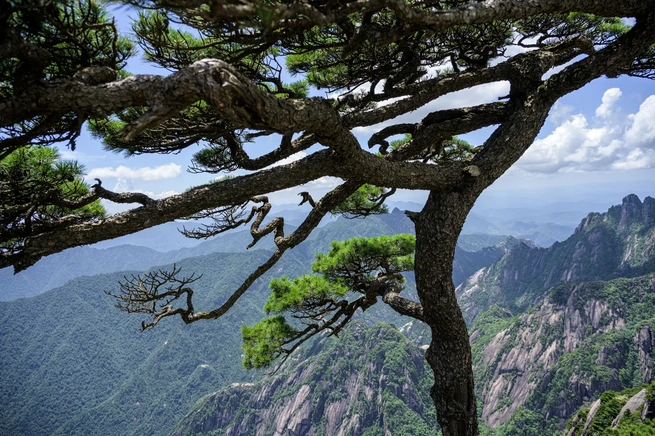 黄山