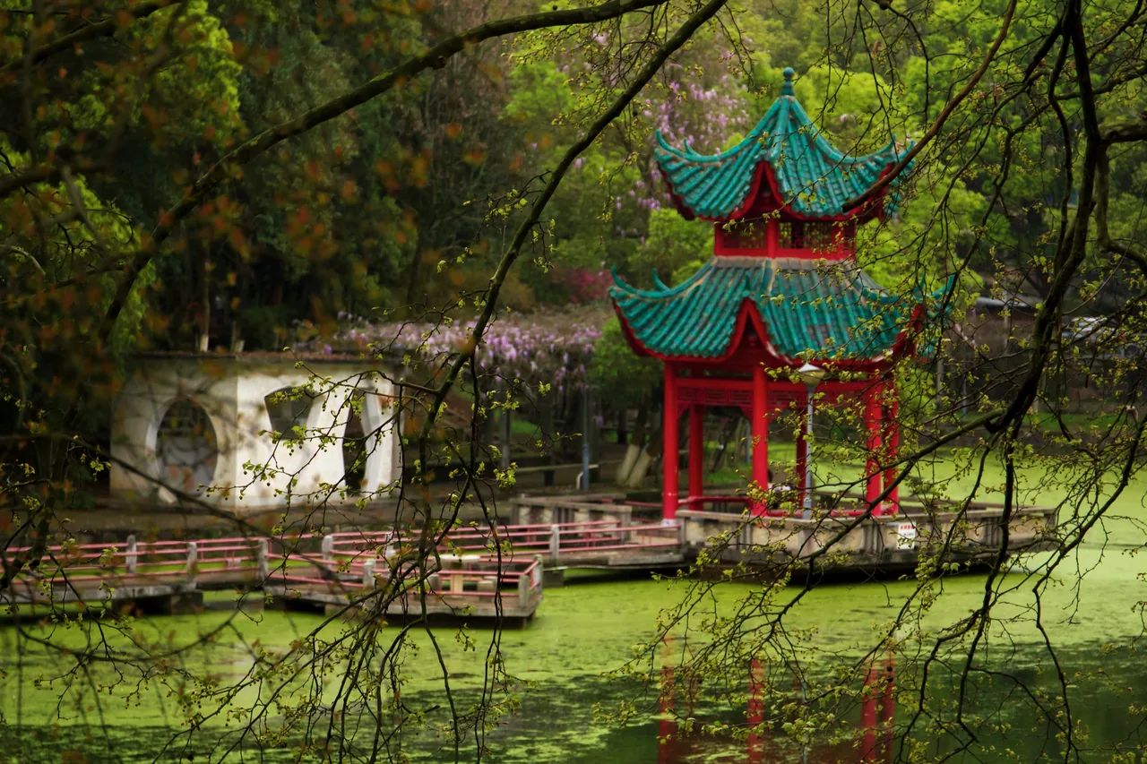 长沙 · 城与光 · 长沙