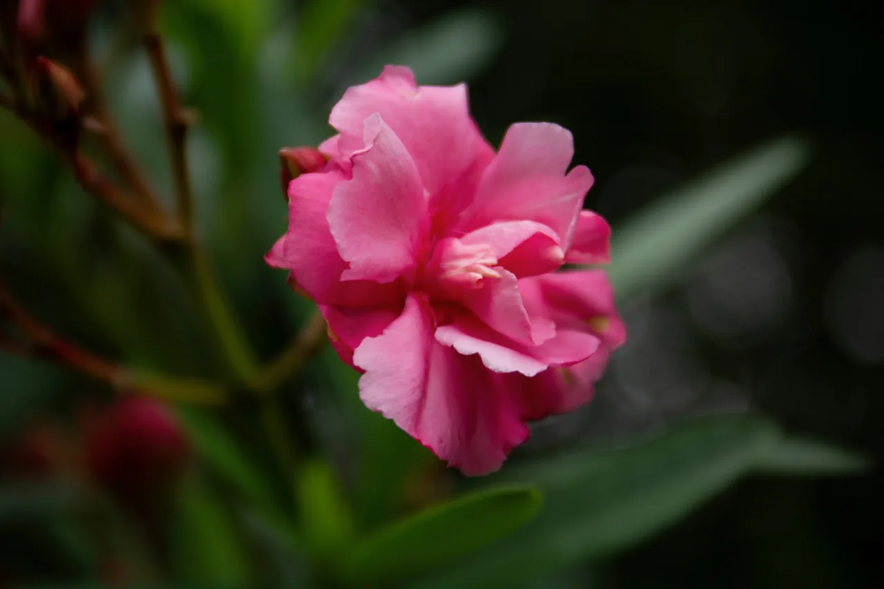 长沙 · 草木四季 · 长沙