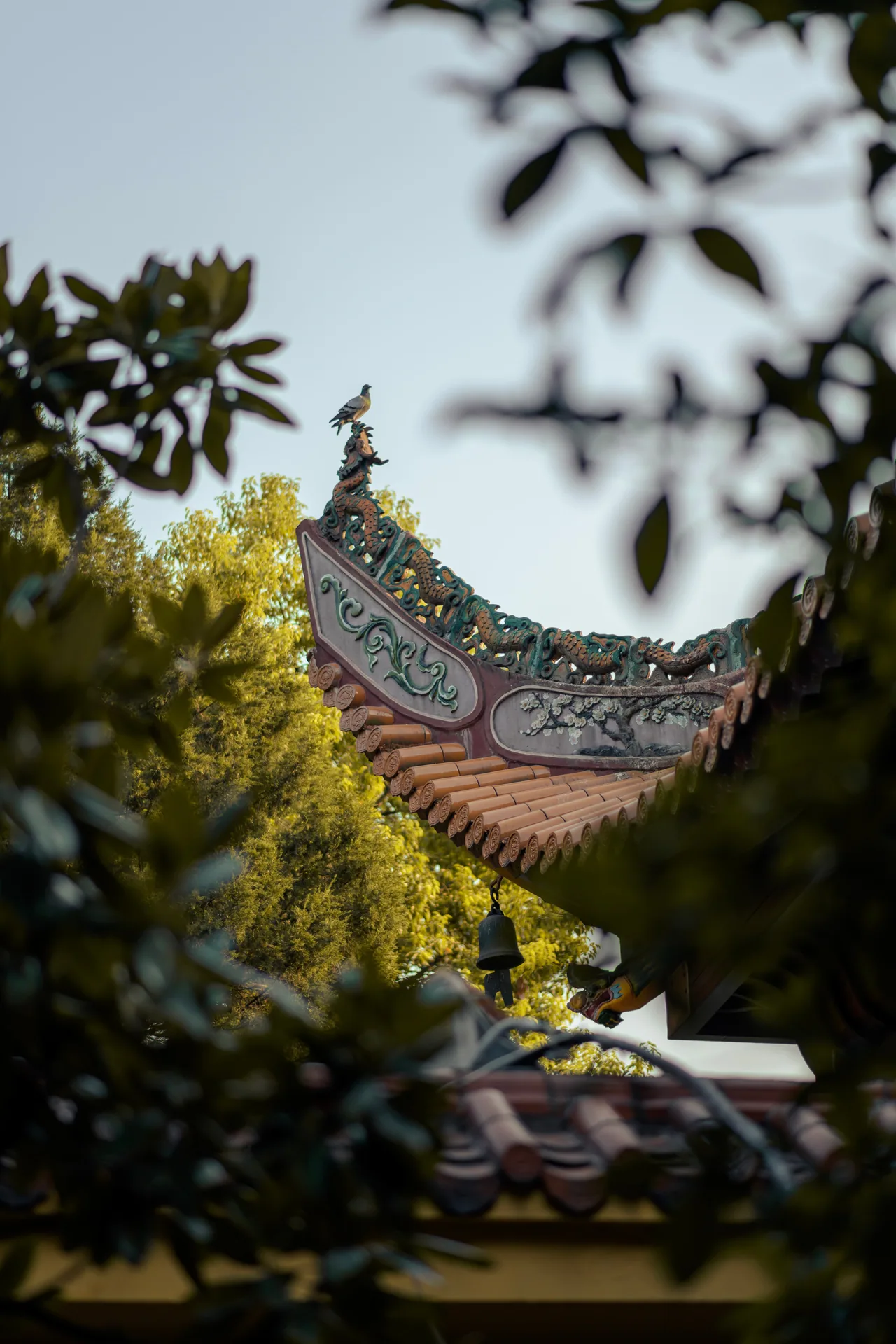长沙 · 城与光 · 长沙