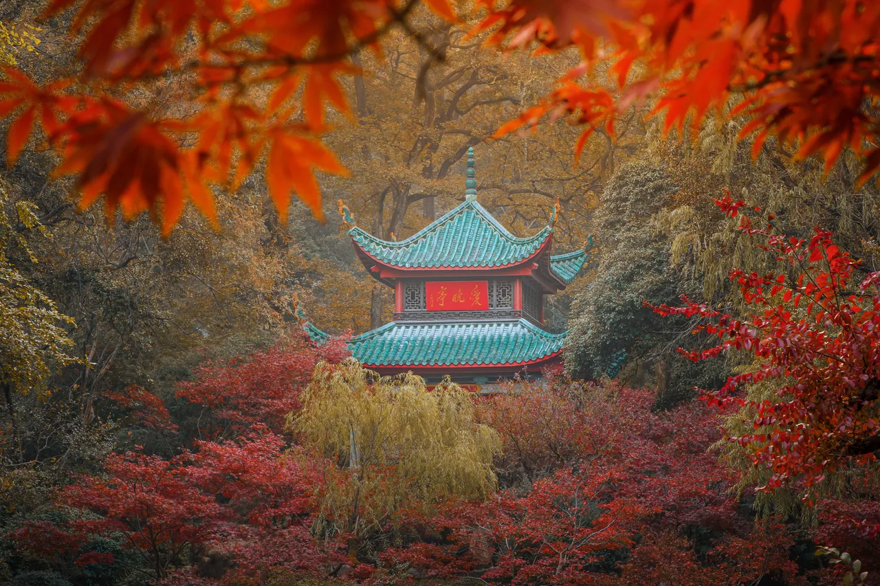 长沙 · 草木四季 · 长沙