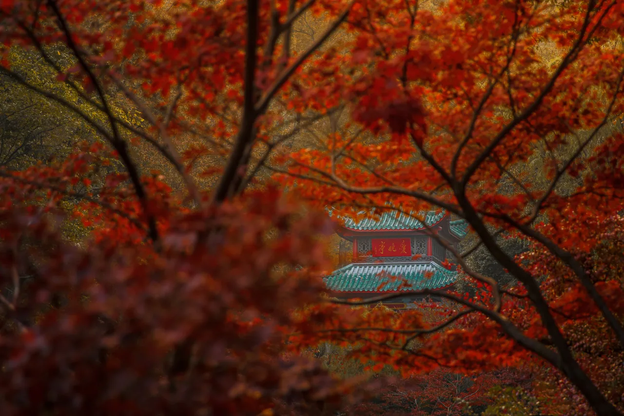 长沙 · 草木四季 · 长沙