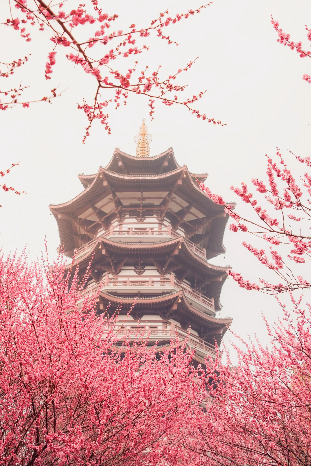 杭州 · 上海 · 杭州 · 西湖