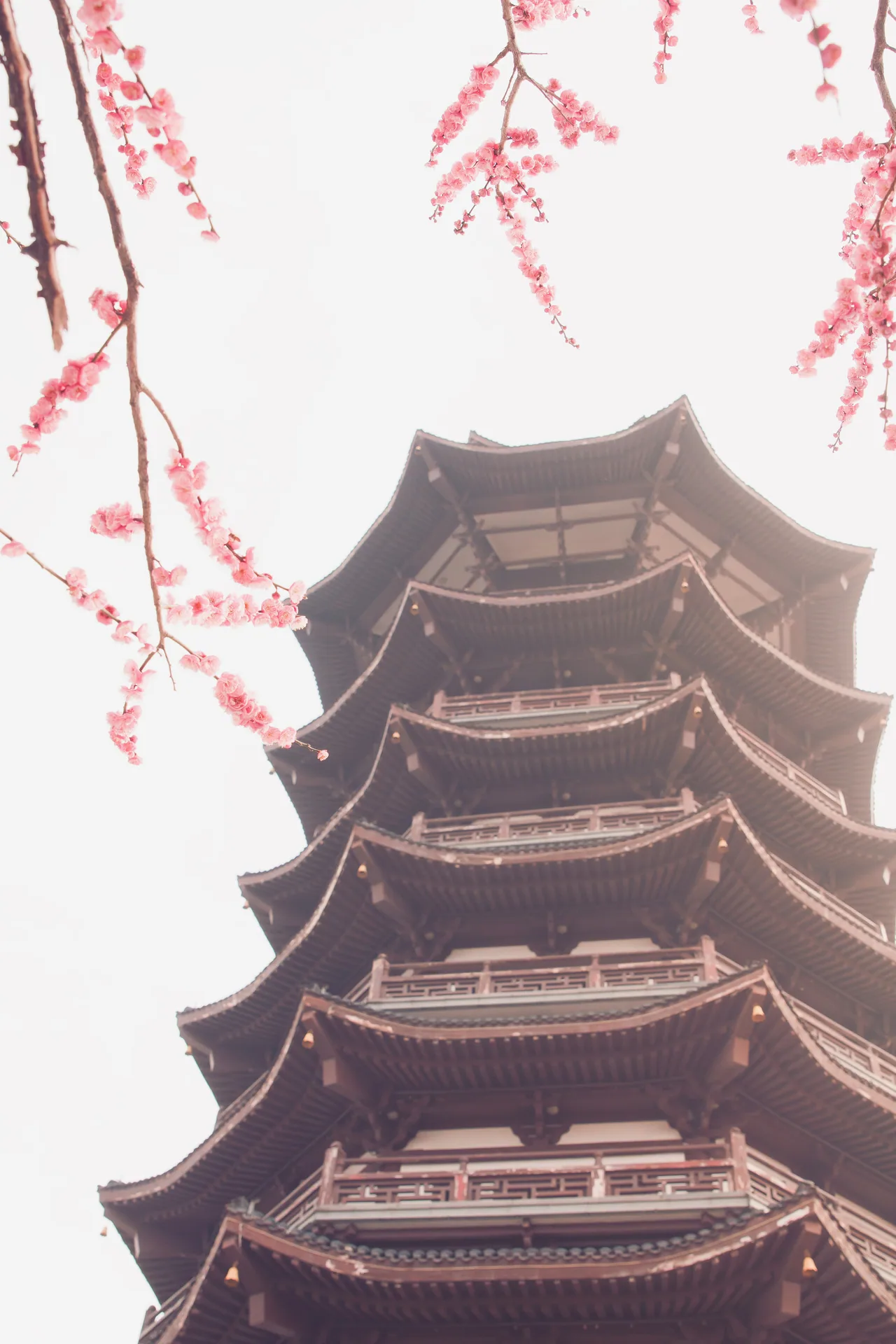 西湖 · 杭州 · 杭州