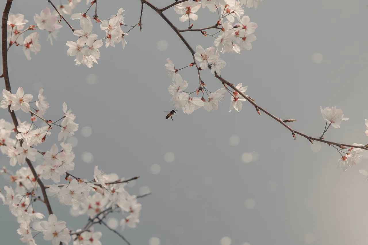 长沙 · 草木四季 · 长沙