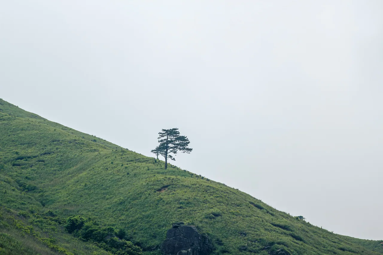 阳朔 · 武功山 · 武功山